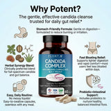PLANT.O NUTRITION Candida Support Supplement 60 Capsules on a wooden table