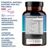 PLANT.O NUTRITION Candida Support Supplement 60 Capsules side view
