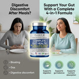 PLANT.O NUTRITION Complete 4-in-1 a daily routine Supplement capsules