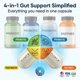 PLANT.O NUTRITION Complete 4-in-1 a daily routine Supplement ingredients list