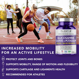 PLANT.O NUTRITION Glucosamine Sulfate Supplement 1000mg capsule close-up