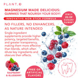PLANT.O NUTRITION Magnesium Gummies blueberry flavour