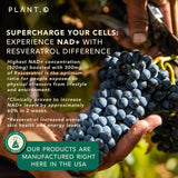 PLANT.O NUTRITION NAD+ Resveratrol Supplement capsules