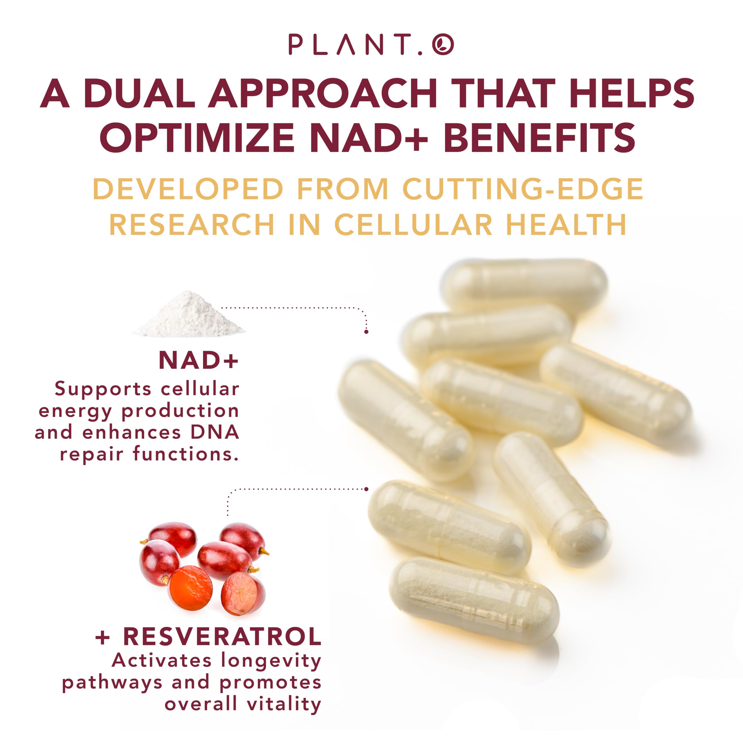 PLANT.O NUTRITION NAD+ Resveratrol Supplement ingredients list