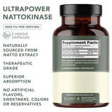 PLANT.O NUTRITION Nattokinase Supplement 60 vegetarian capsules