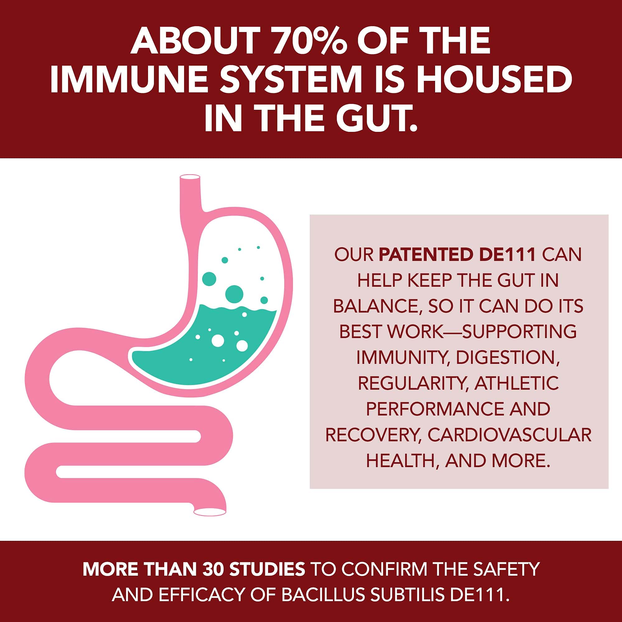 PLANT.O NUTRITION Probiotic Gummies ingredients list