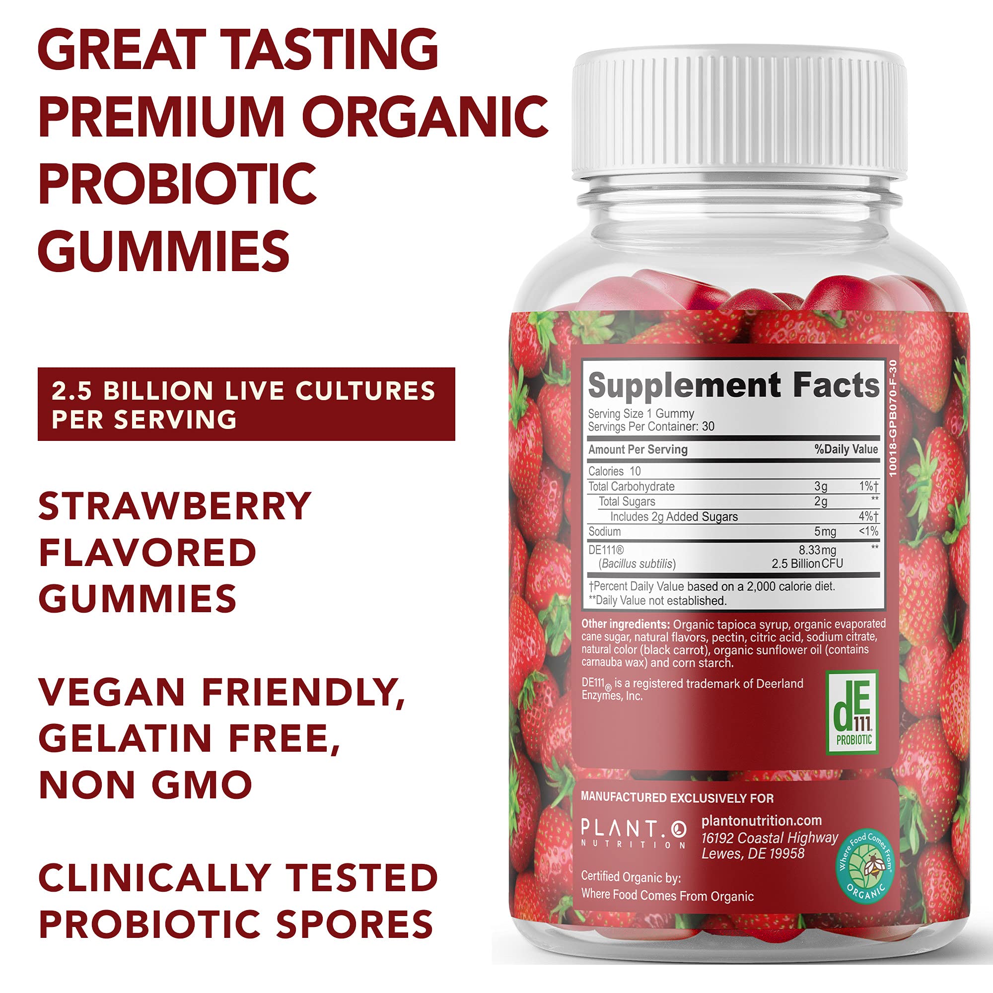 PLANT.O NUTRITION Probiotic Gummies strawberry flavour close-up