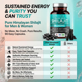 PLANT.O NUTRITION Shilajit Extract Capsules with natural background