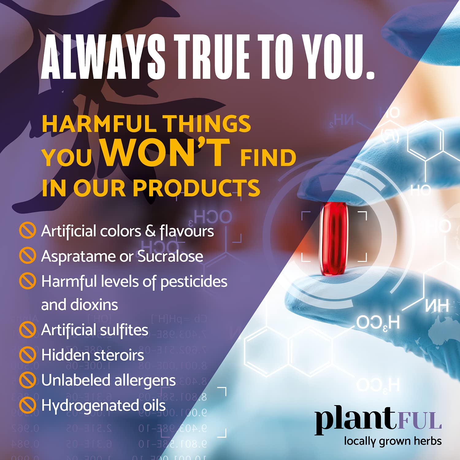 PLANTFUL RESEARCH Adrenal Support Supplement capsule close-up