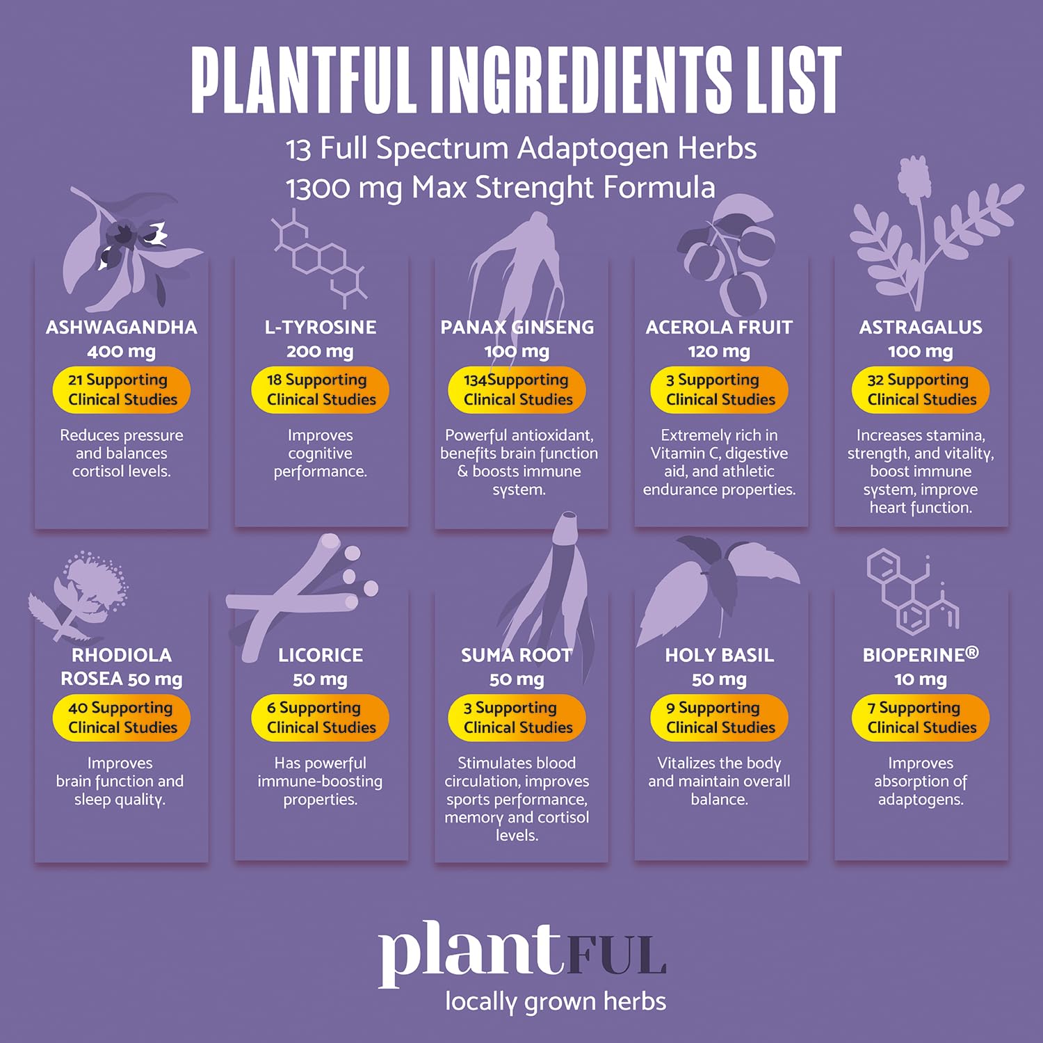 PLANTFUL RESEARCH Adrenal Support Supplement lifestyle scene