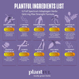 PLANTFUL RESEARCH Adrenal Support Supplement lifestyle scene