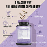 PLANTFUL RESEARCH Adrenal Support Supplement with a glass of water