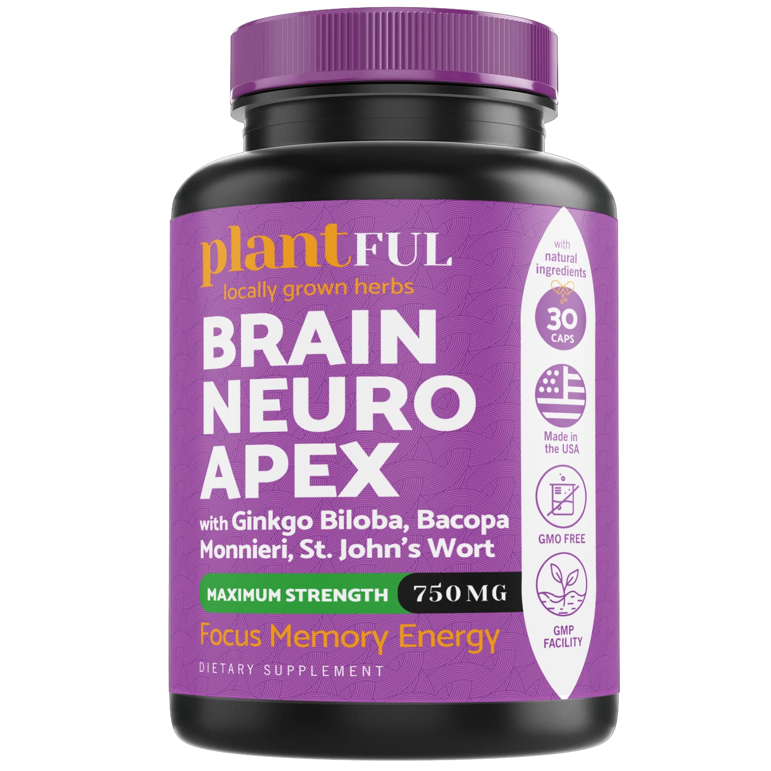 PLANTFUL RESEARCH Ginkgo Biloba Brain Supplement 50mg capsules front view