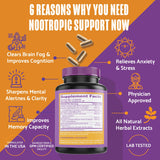 PLANTFUL RESEARCH Ginkgo Biloba Brain Supplement 50mg capsules side view