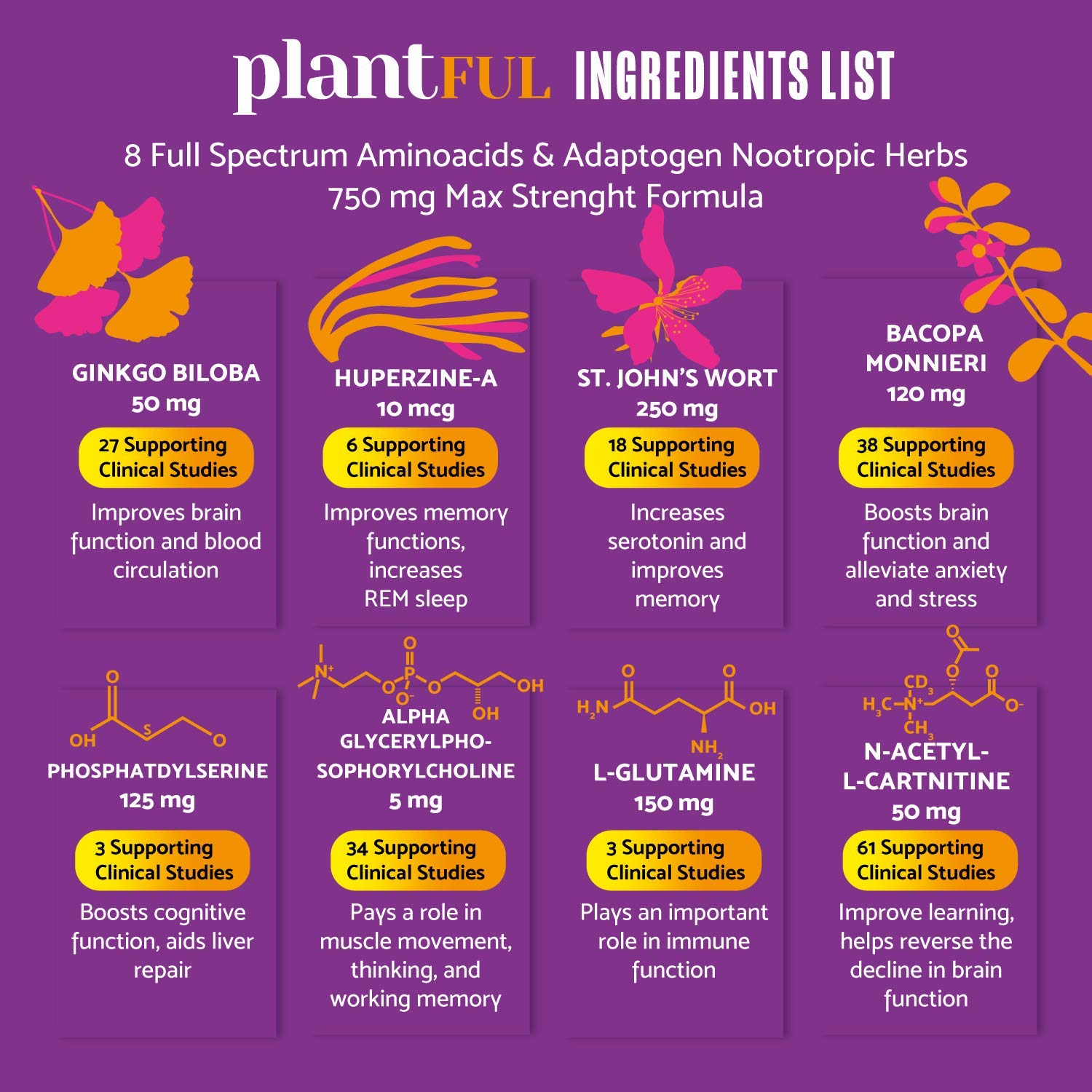 PLANTFUL RESEARCH Ginkgo Biloba Brain Supplement 50mg capsules with packaging