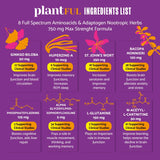 PLANTFUL RESEARCH Ginkgo Biloba Brain Supplement 50mg capsules with packaging