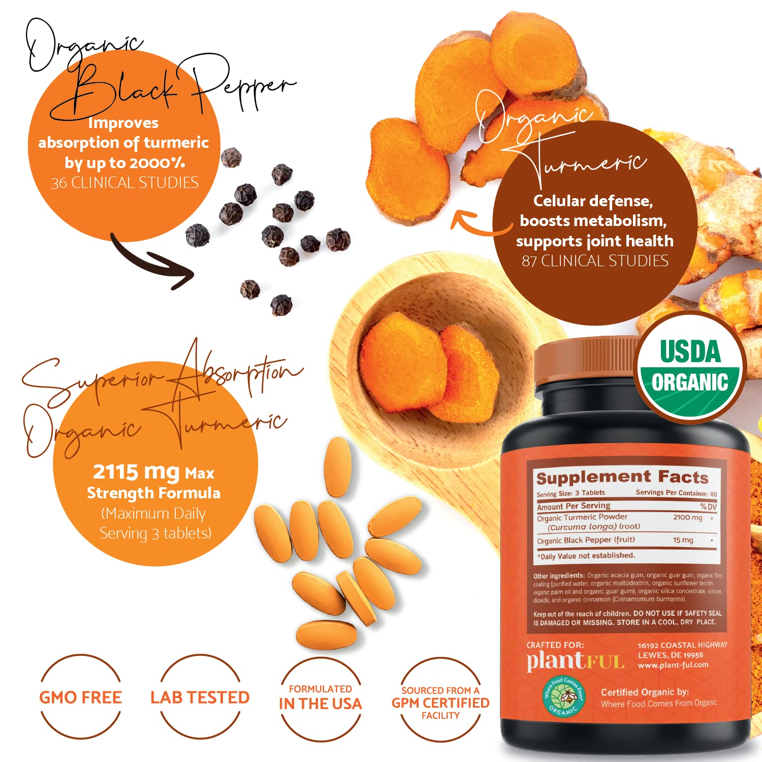 PLANTFUL RESEARCH Organic Turmeric Curcumin Tablets packaging