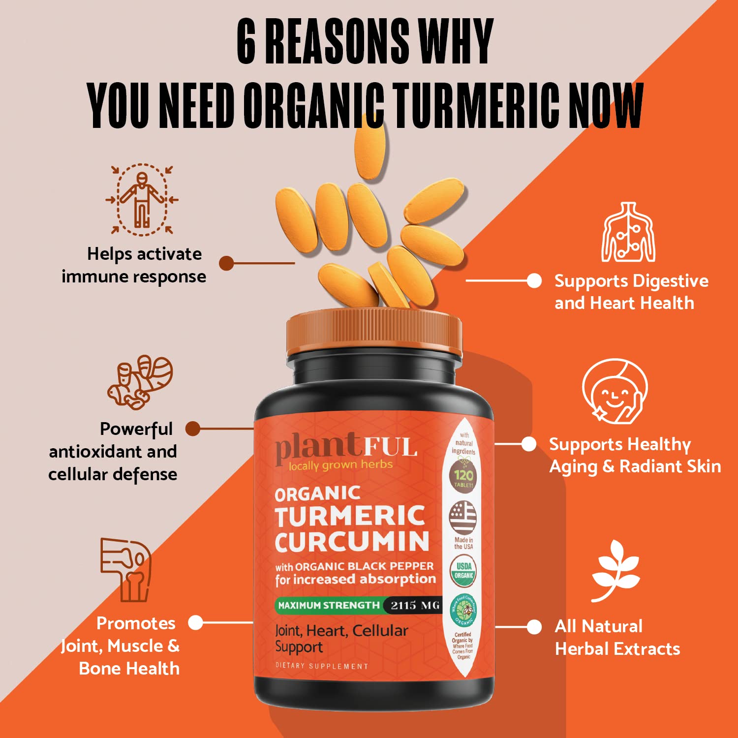 PLANTFUL RESEARCH Organic Turmeric Curcumin Tablets side view