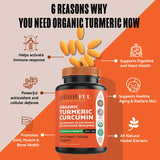PLANTFUL RESEARCH Organic Turmeric Curcumin Tablets side view