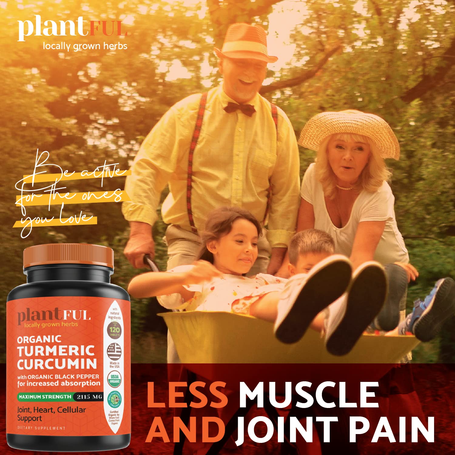 PLANTFUL RESEARCH Organic Turmeric Curcumin Tablets with black pepper