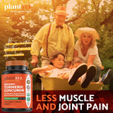 PLANTFUL RESEARCH Organic Turmeric Curcumin Tablets with black pepper