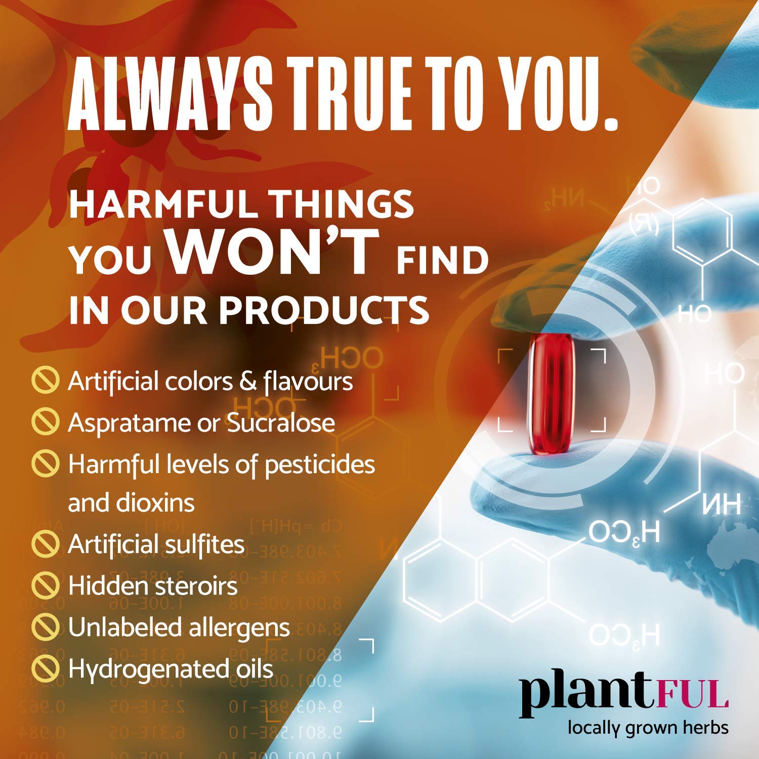 PLANTFUL RESEARCH Thyroid Support Supplement packaging