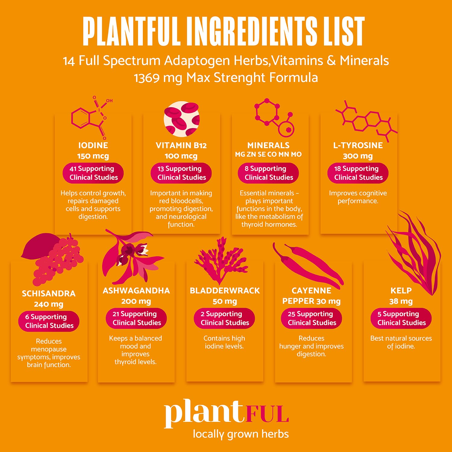 PLANTFUL RESEARCH Thyroid Support Supplement with lifestyle items