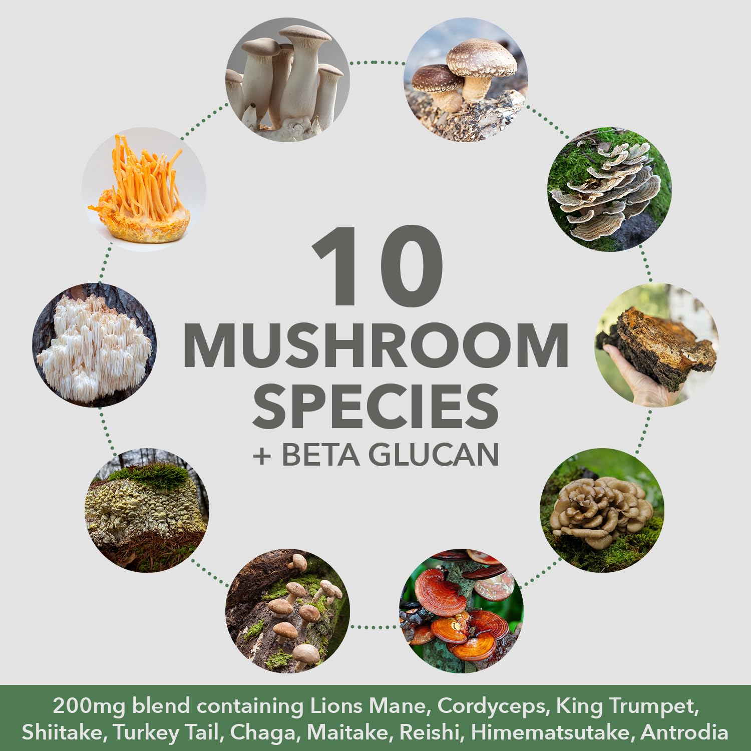 PlantFusion Mushroom Protein Powder 2000mg side view