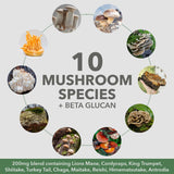 PlantFusion Mushroom Protein Powder 2000mg side view