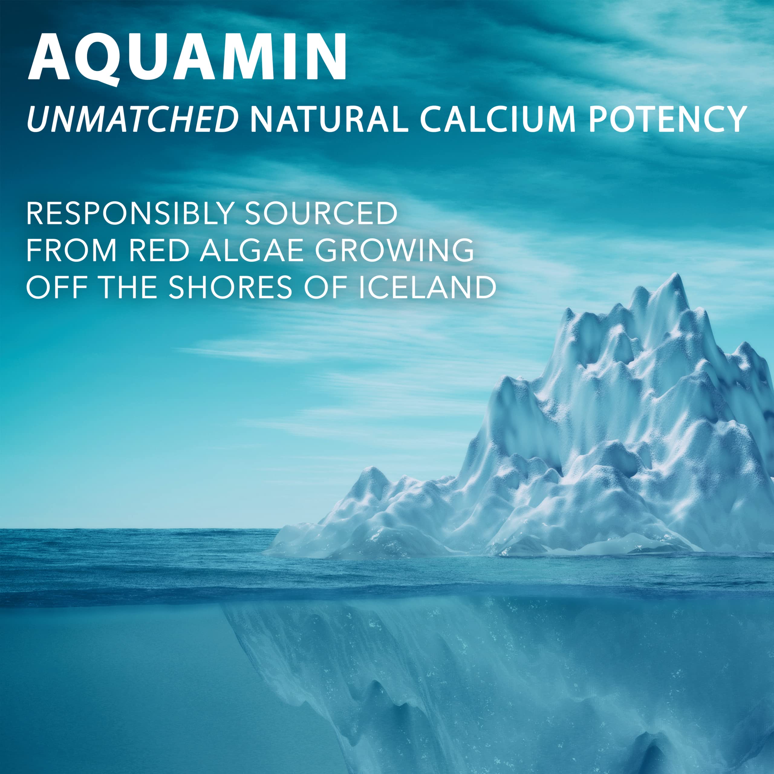 PlantFusion Vegan Calcium Supplement showing ingredients list