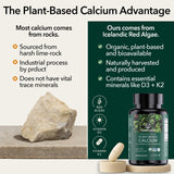 PlantFusion Vegan Calcium Supplement side view showing tablet details