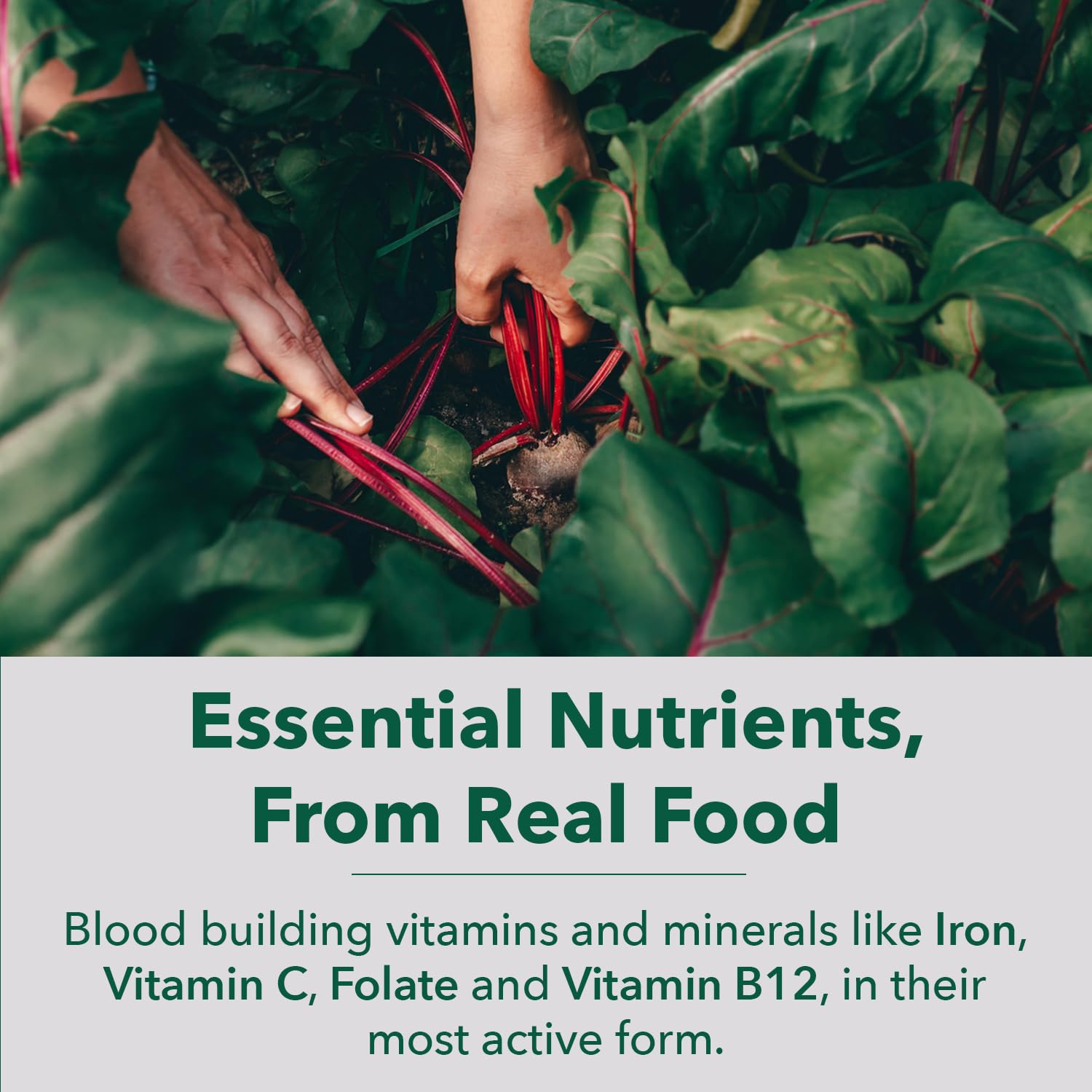 PlantFusion Vegan Iron Supplement packaging details