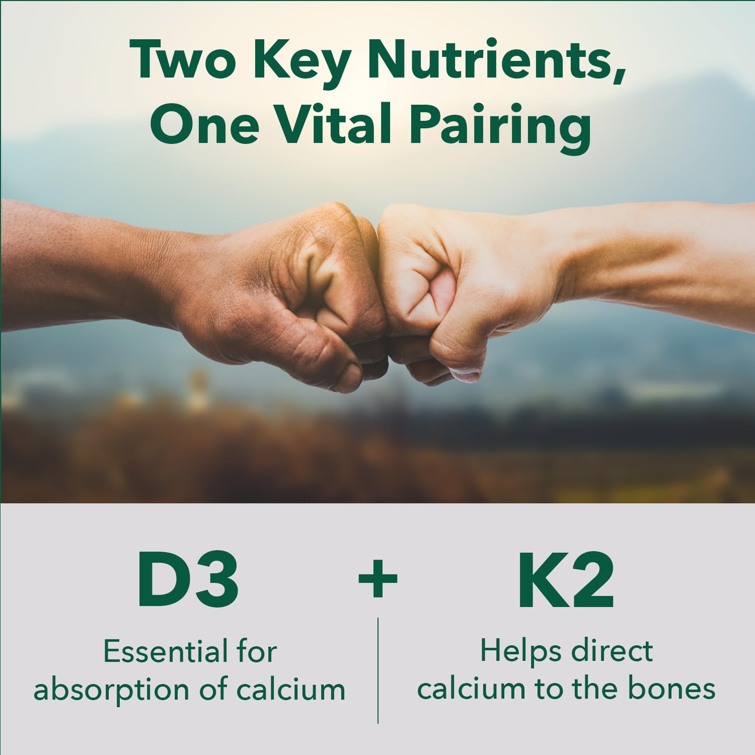 PlantFusion Vitamin D3 and K2 Supplement side view showing capsule