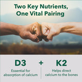 PlantFusion Vitamin D3 and K2 Supplement side view showing capsule