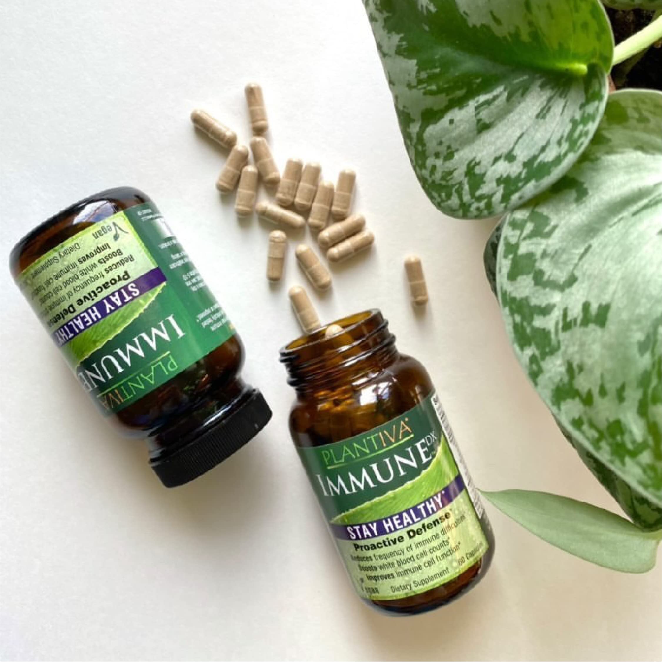 Plantiva daily wellness Echinacea Supplement in a lifestyle setting