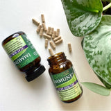 Plantiva daily wellness Echinacea Supplement in a lifestyle setting