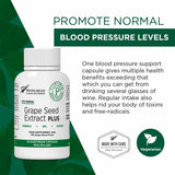 Plantonin Grape Seed Extract Plus capsules in hand