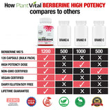 Plantvital Berberine Organic 1200mg Vegan Capsules side view