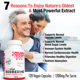 Plantvital Organic Berberine Supplement 1200mg back view