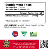 Plantvital Organic Berberine Supplement 1200mg lifestyle scene