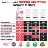Plantvital Organic Berberine Supplement 1200mg side view
