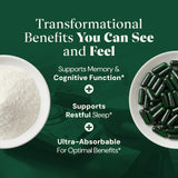 Plus+Ultra Magnesium Threonate Sleep Stack next to herbal supplements
