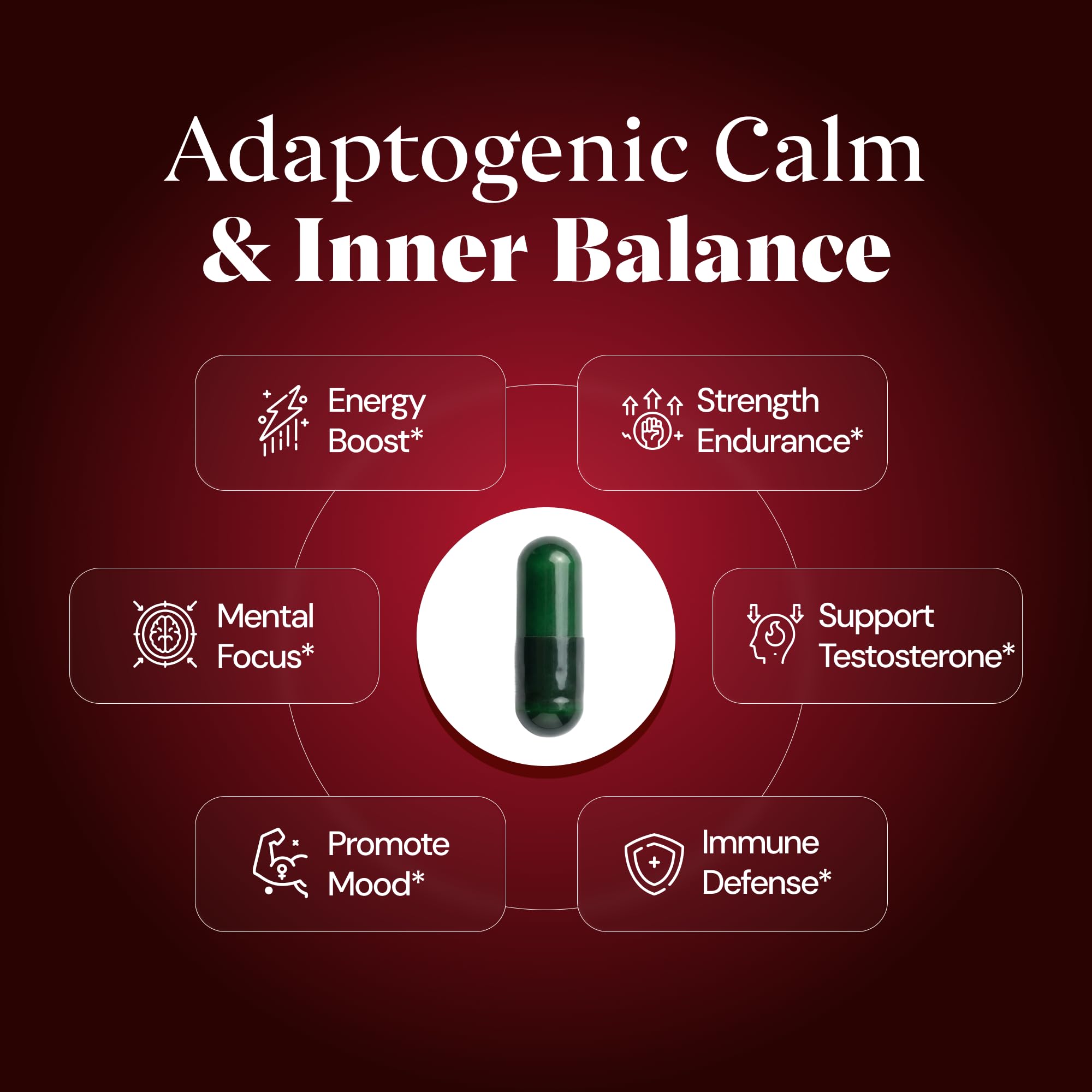 Plus+Ultra Shilajit Supplement capsules close-up