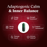 Plus+Ultra Shilajit Supplement capsules close-up