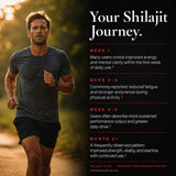 Plus+Ultra Shilajit Supplement ingredients list