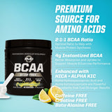PMD BCAA Powder 261g with a measuring scoop