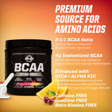 PMD BCAA Powder 340g lifestyle shot with fitness gear