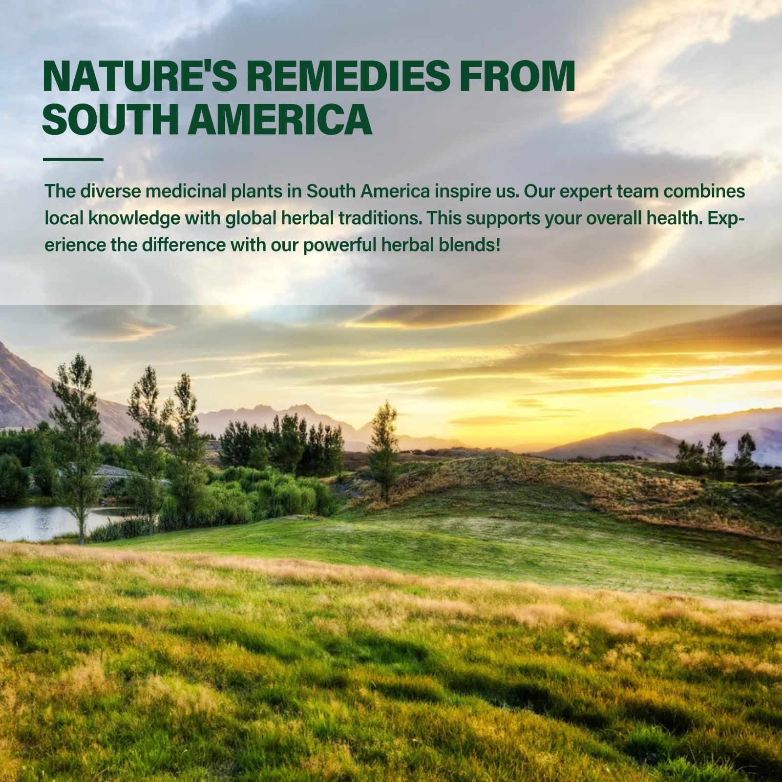 Polypodium Leucotomos organic drops packaging