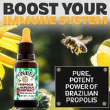 PONLEE Royal Jelly 100% Green Bee Propolis Glycolic Extract bottle side view