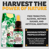 PONLEE Royal Jelly 100% Green Bee Propolis Glycolic Extract packaging